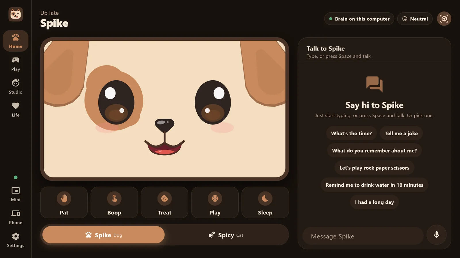 Spike for Windows: his face beside the chat