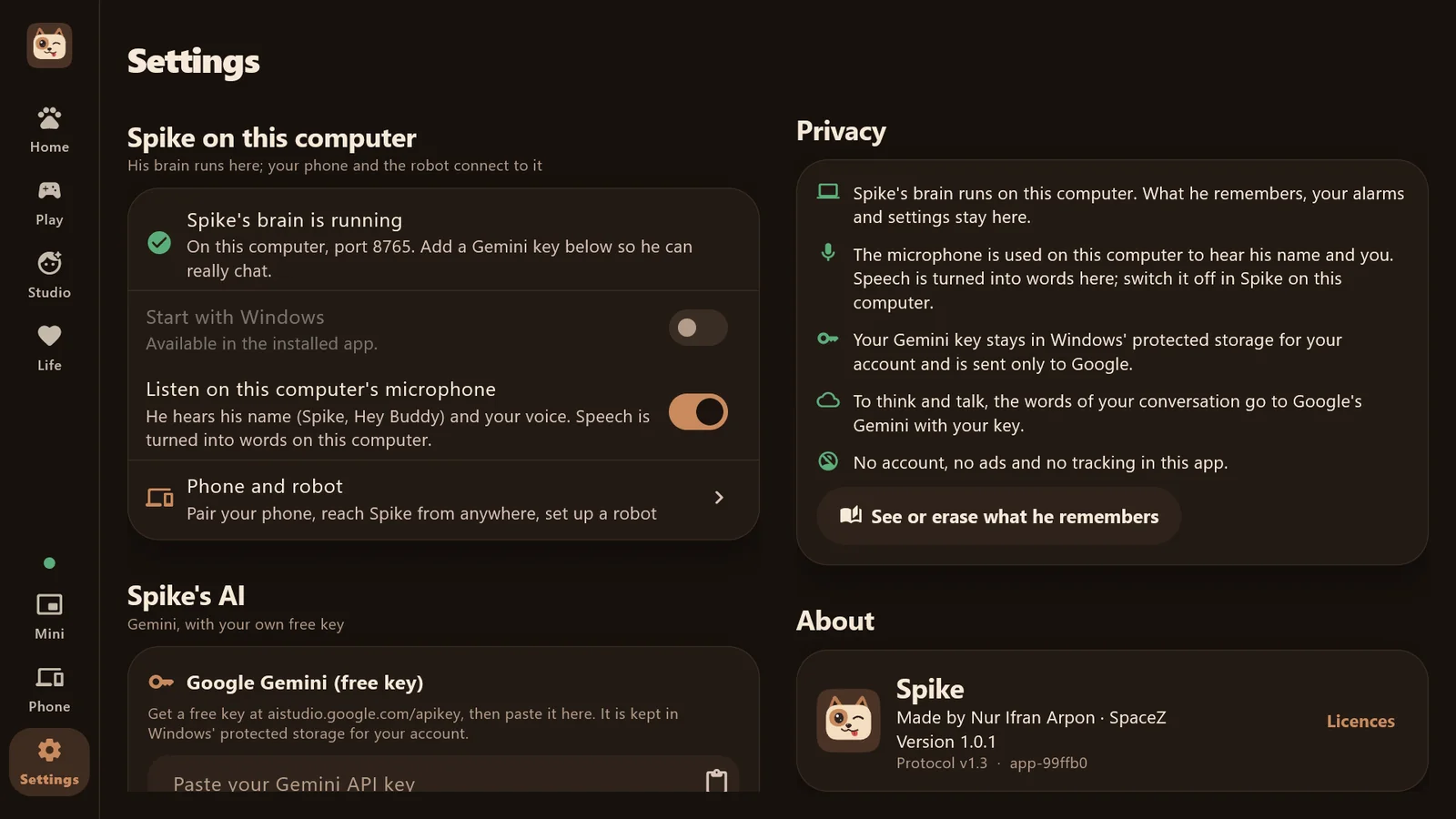 Settings: the brain status, microphone, phone and robot pairing, privacy summary and about